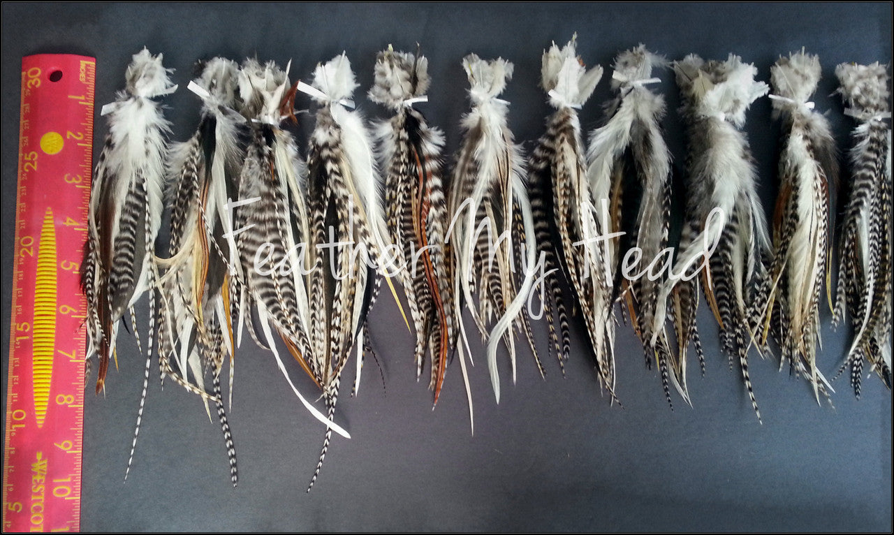 Step into a world of vibrant creativity with our extraordinary variety pack of short, wide hair feathers.
Unlike traditional thin feathers, ours boast a unique width and delightful fluff at the top, adding a touch of whimsy to your look.

Ranging from 5 to 7 inches in length, each pack is a kaleidoscope of colors, ensuring not two packs are alike. While the photo offers a glimpse, expect a delightful surprise when you receive your pack, brimming with a variety of colors