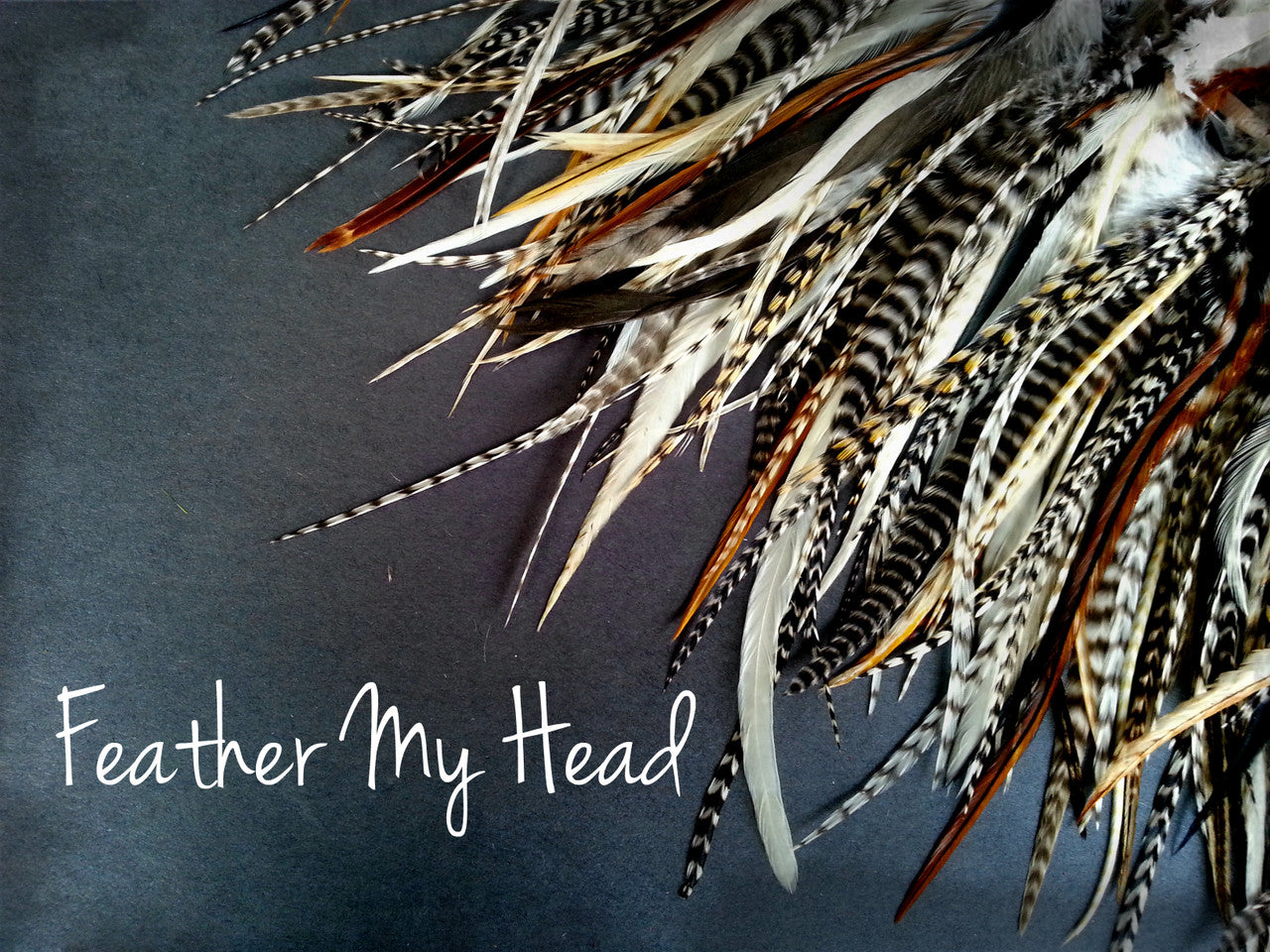 Step into a world of vibrant creativity with our extraordinary variety pack of short, wide hair feathers.
Unlike traditional thin feathers, ours boast a unique width and delightful fluff at the top, adding a touch of whimsy to your look.

Ranging from 5 to 7 inches in length, each pack is a kaleidoscope of colors, ensuring not two packs are alike. While the photo offers a glimpse, expect a delightful surprise when you receive your pack, brimming with a variety of colors