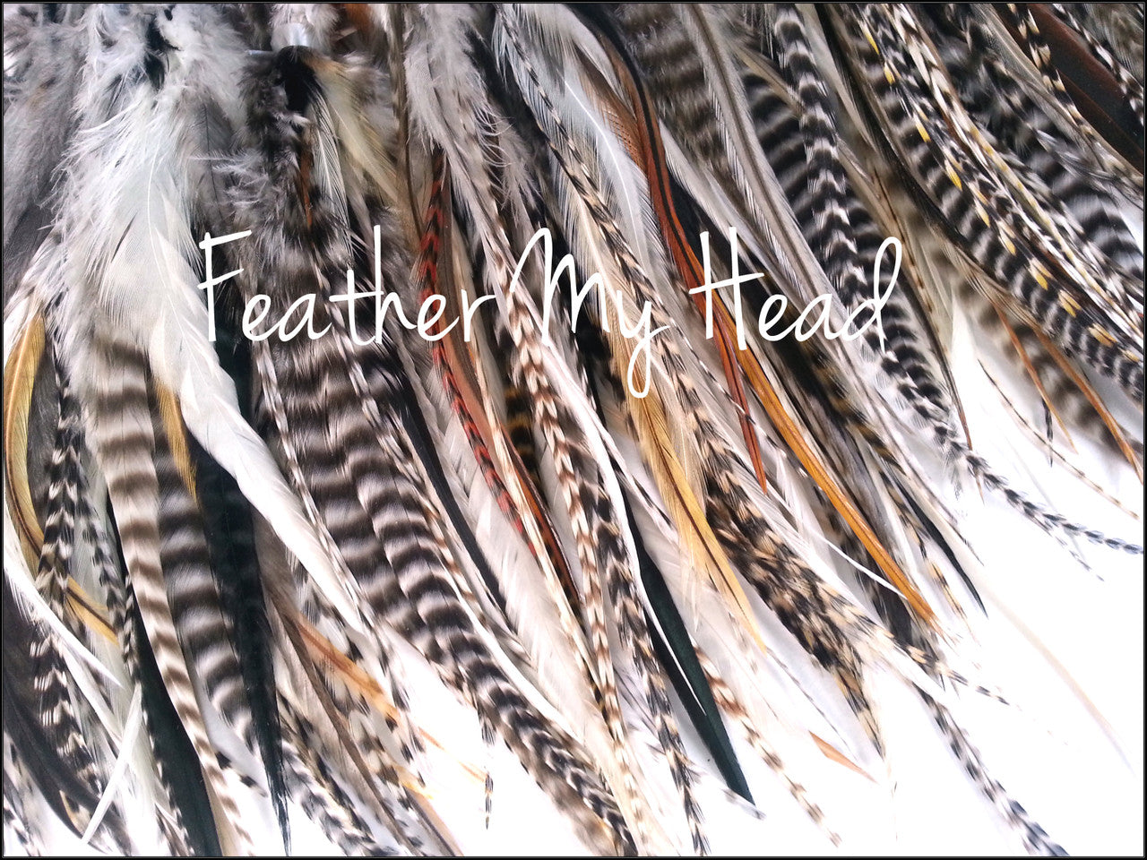 Step into a world of vibrant creativity with our extraordinary variety pack of short, wide hair feathers.
Unlike traditional thin feathers, ours boast a unique width and delightful fluff at the top, adding a touch of whimsy to your look.

Ranging from 5 to 7 inches in length, each pack is a kaleidoscope of colors, ensuring not two packs are alike. While the photo offers a glimpse, expect a delightful surprise when you receive your pack, brimming with a variety of colors