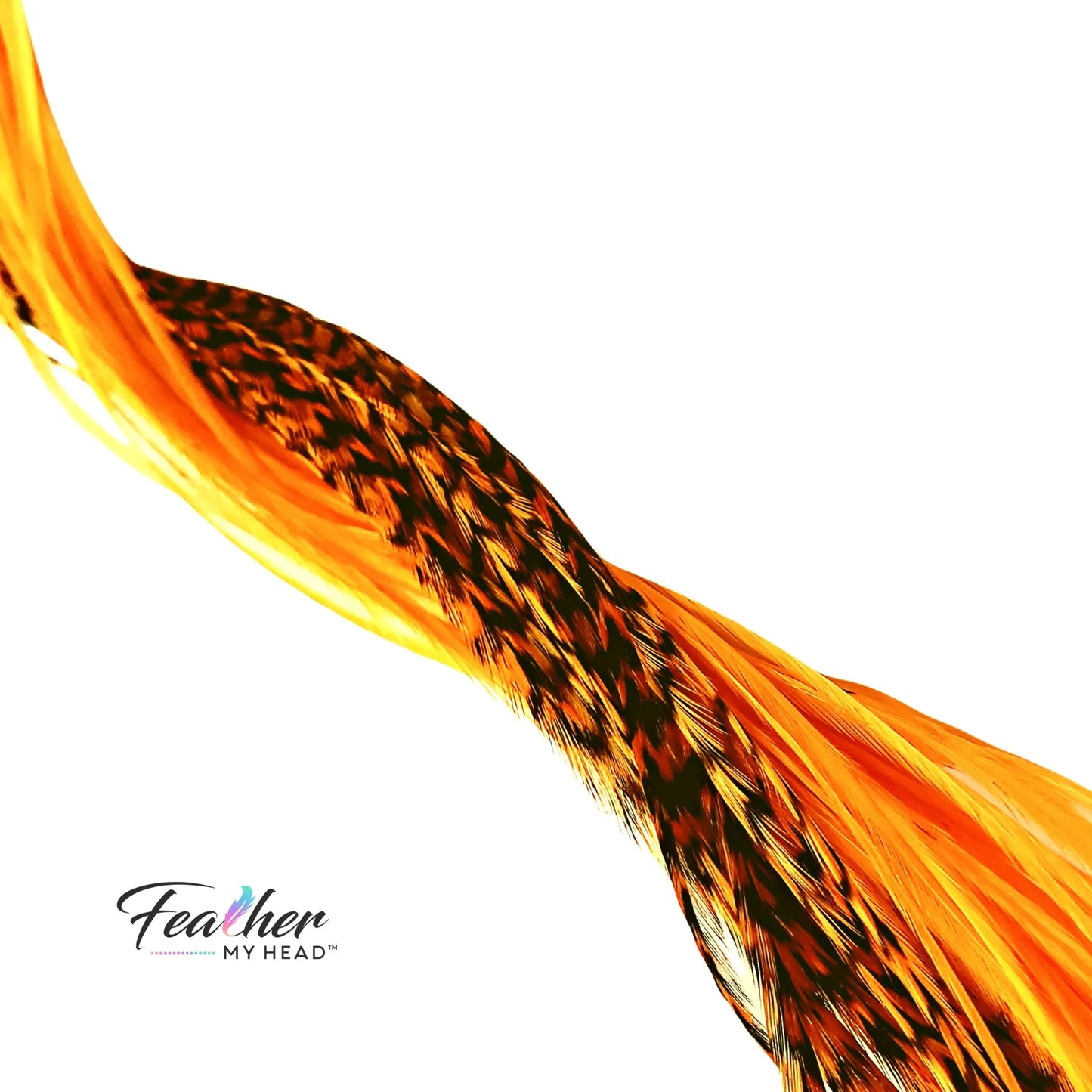 Neon orange hair feather extensions on white background, single feather product photo
