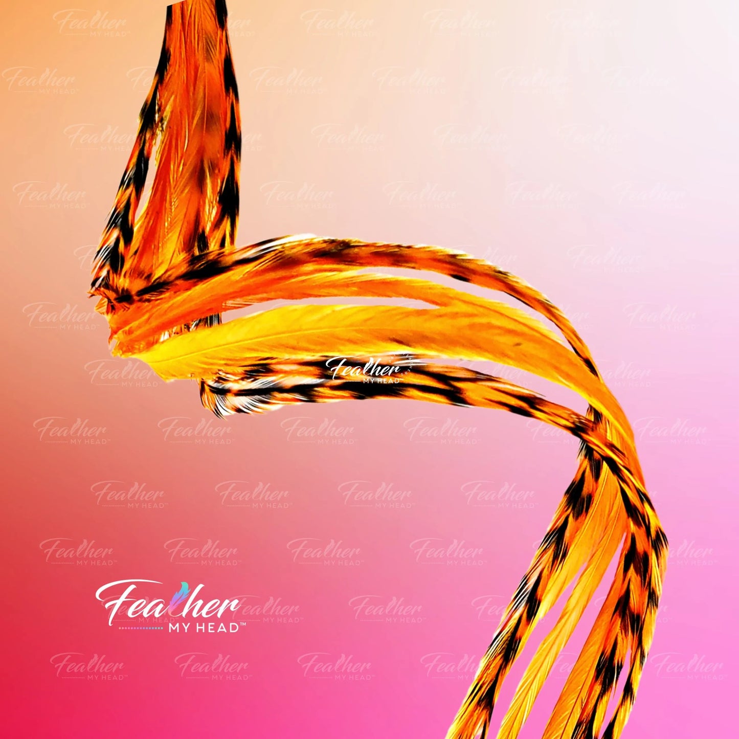 Colorful feather design with 'Feather My Head' branding on a pink background