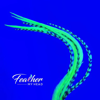 Neon Yellow Glow Hair Feather
