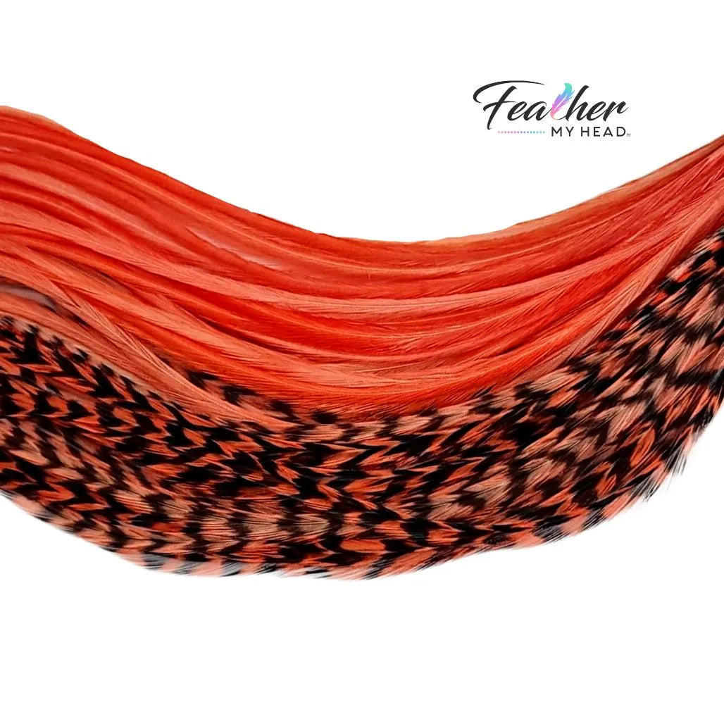 Monarch Orange Hair Feather