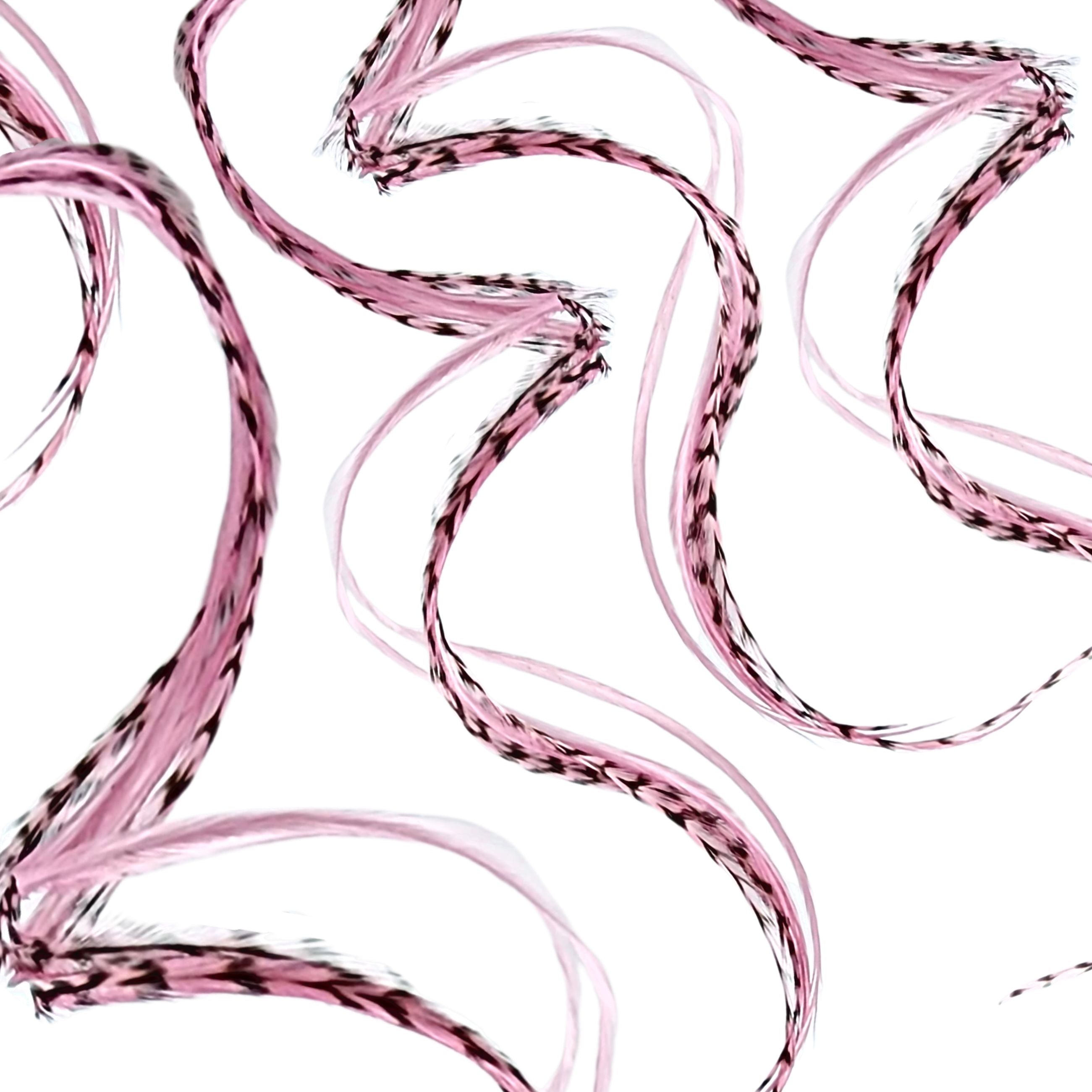Pink Blush Hair Feathers