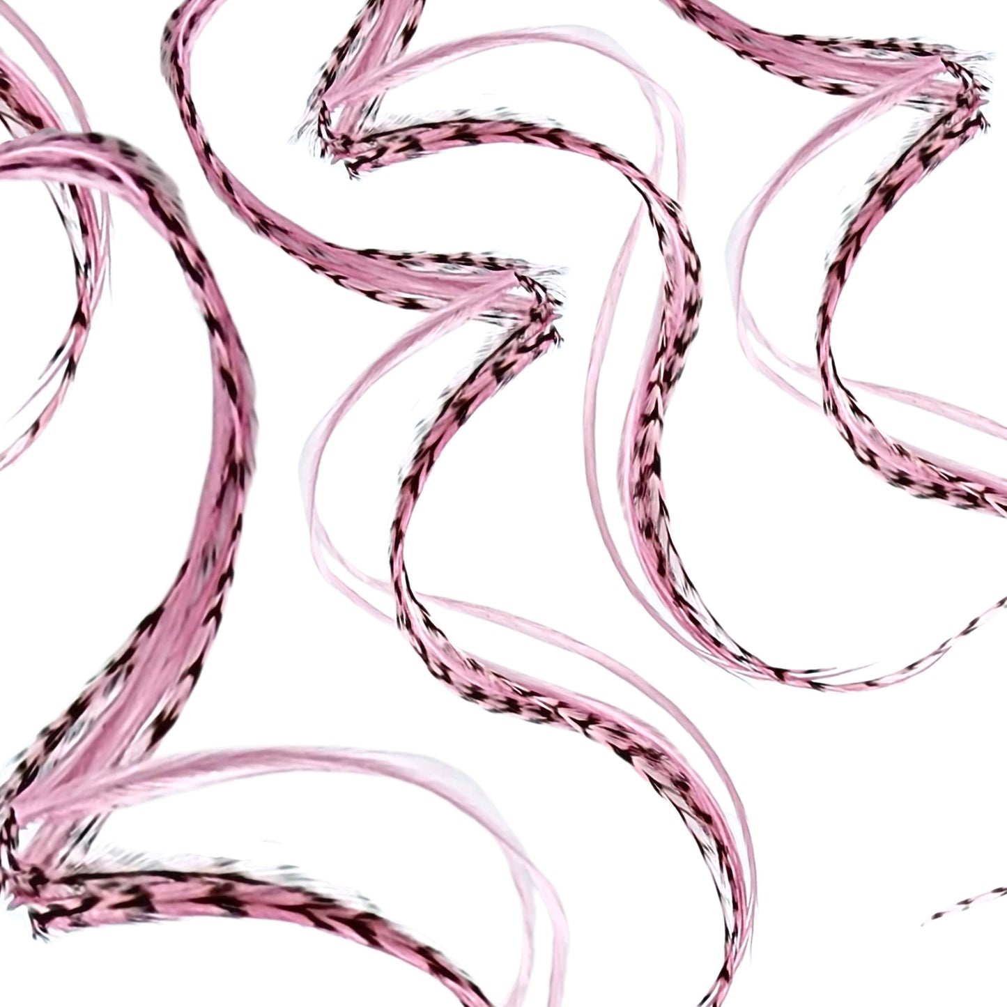 Pink Blush Hair Feathers