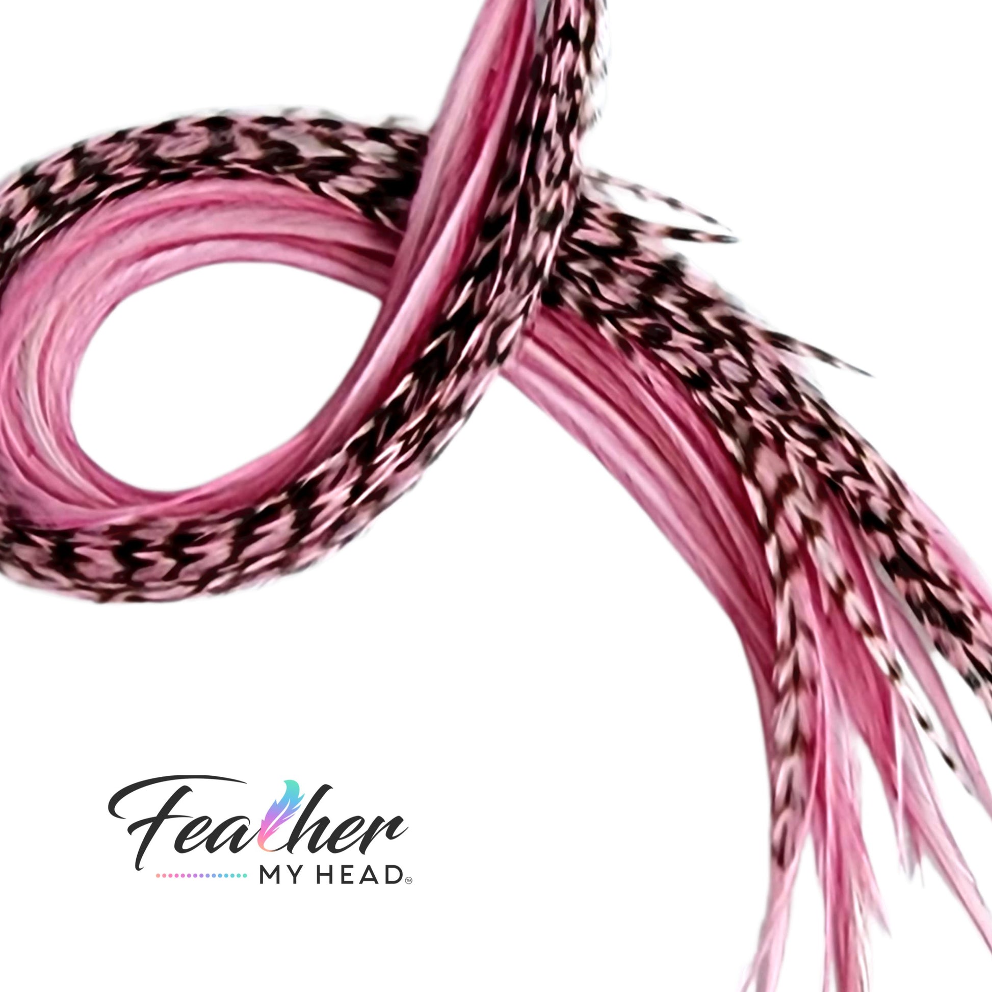 Pink Blush Hair Feathers