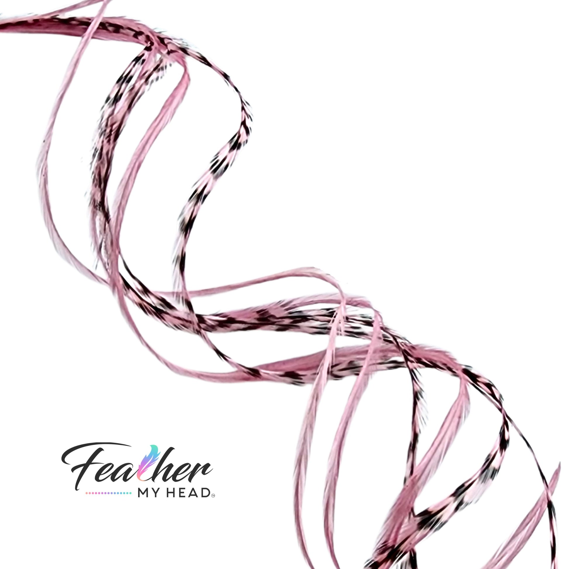 Pink Blush Hair Feathers