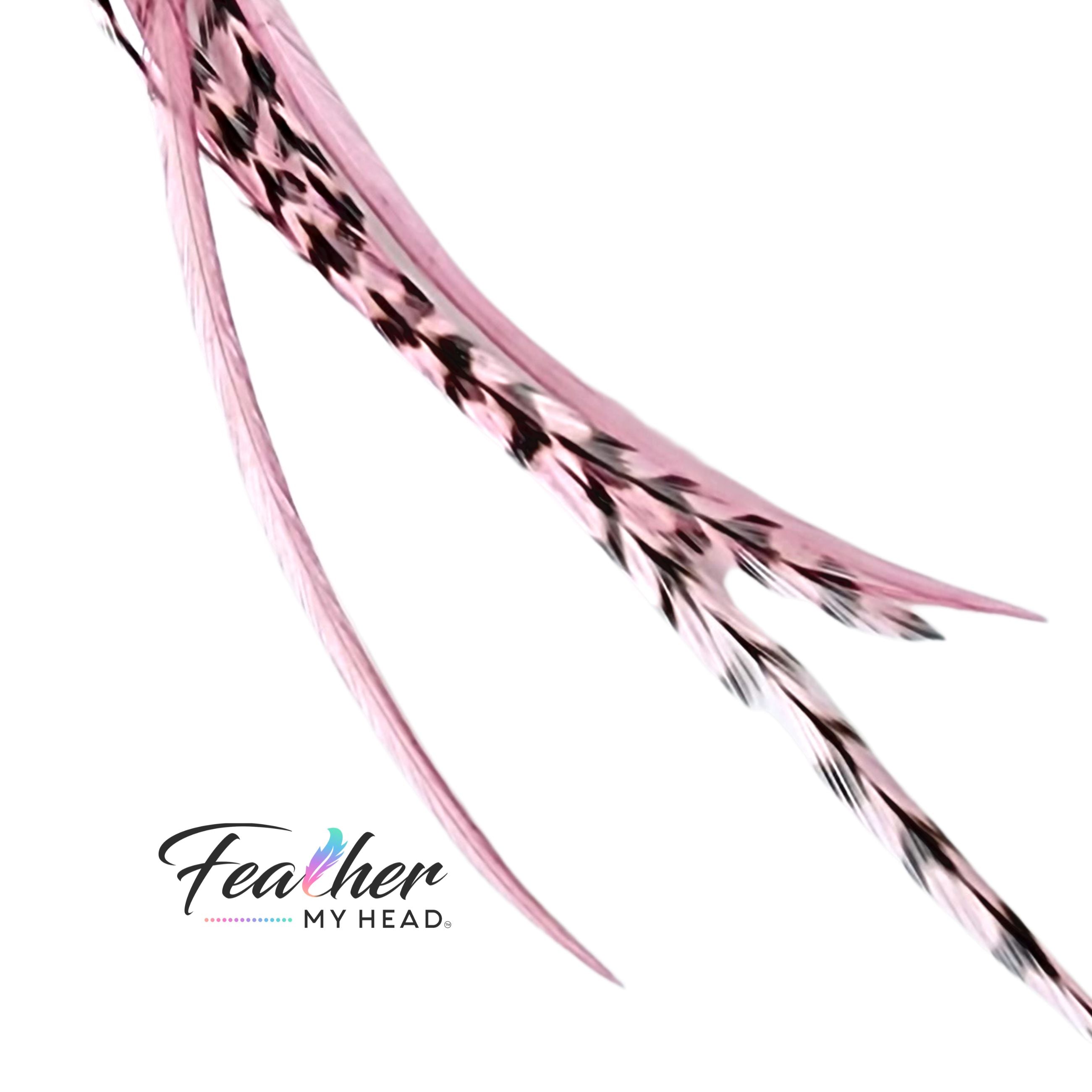Pink Blush Hair Feathers