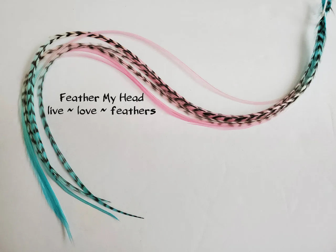 Rainbow hair feathers.  Hand dyed by Feather My Head in shades of pink and aqua.  Hair feather kit available