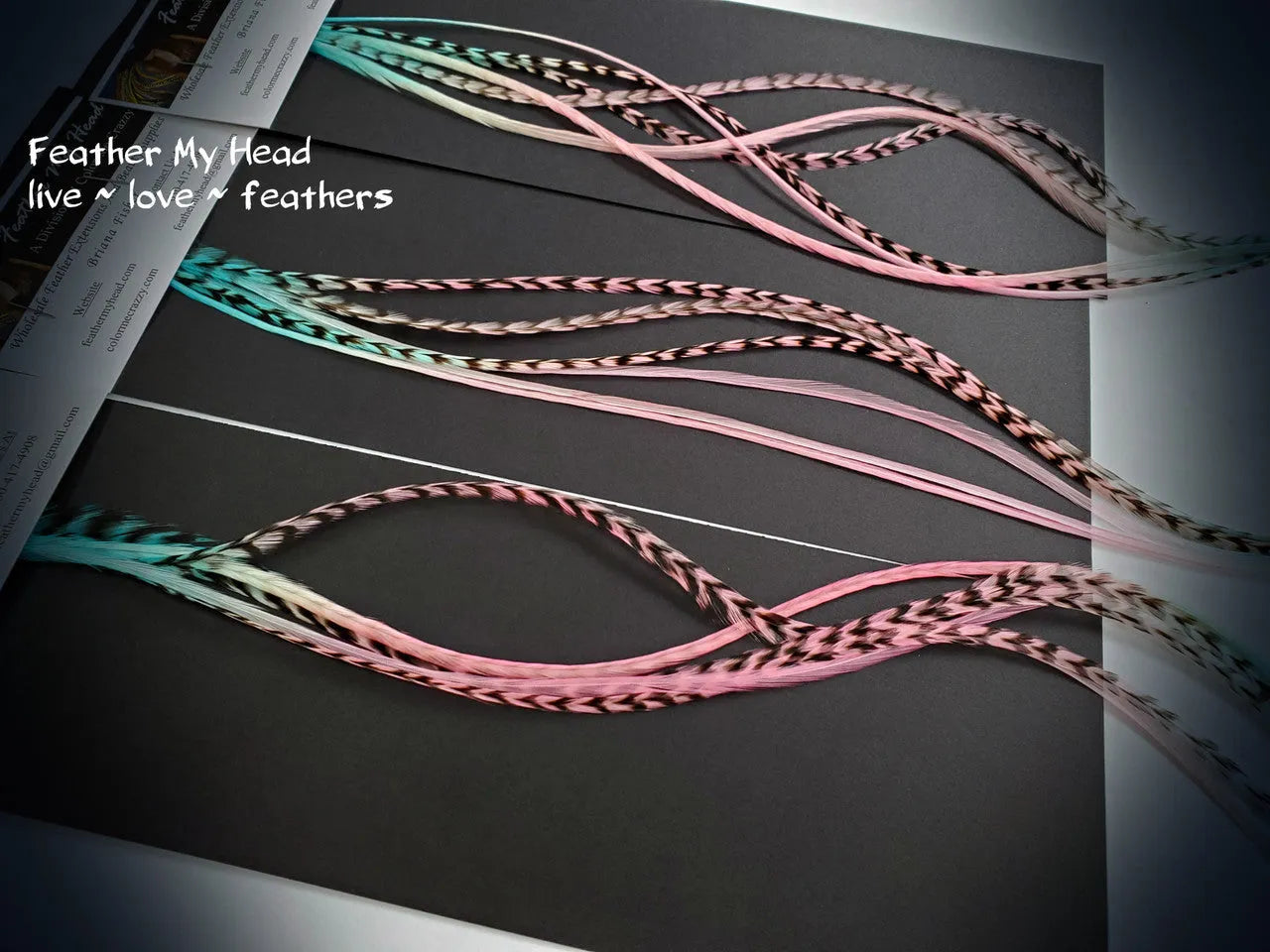 Rainbow hair feathers.  Hand dyed by Feather My Head in shades of pink and aqua.  Hair feather kit available