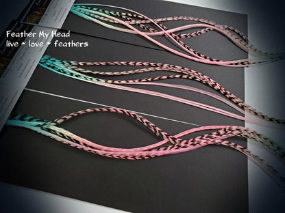 Rainbow hair feathers.  Hand dyed by Feather My Head in shades of pink and aqua.  Hair feather kit available