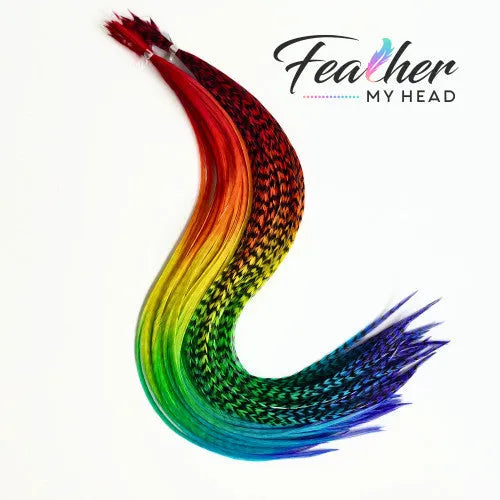 Love Is Love Pride Rainbow Tie-Dyed Hair Feather