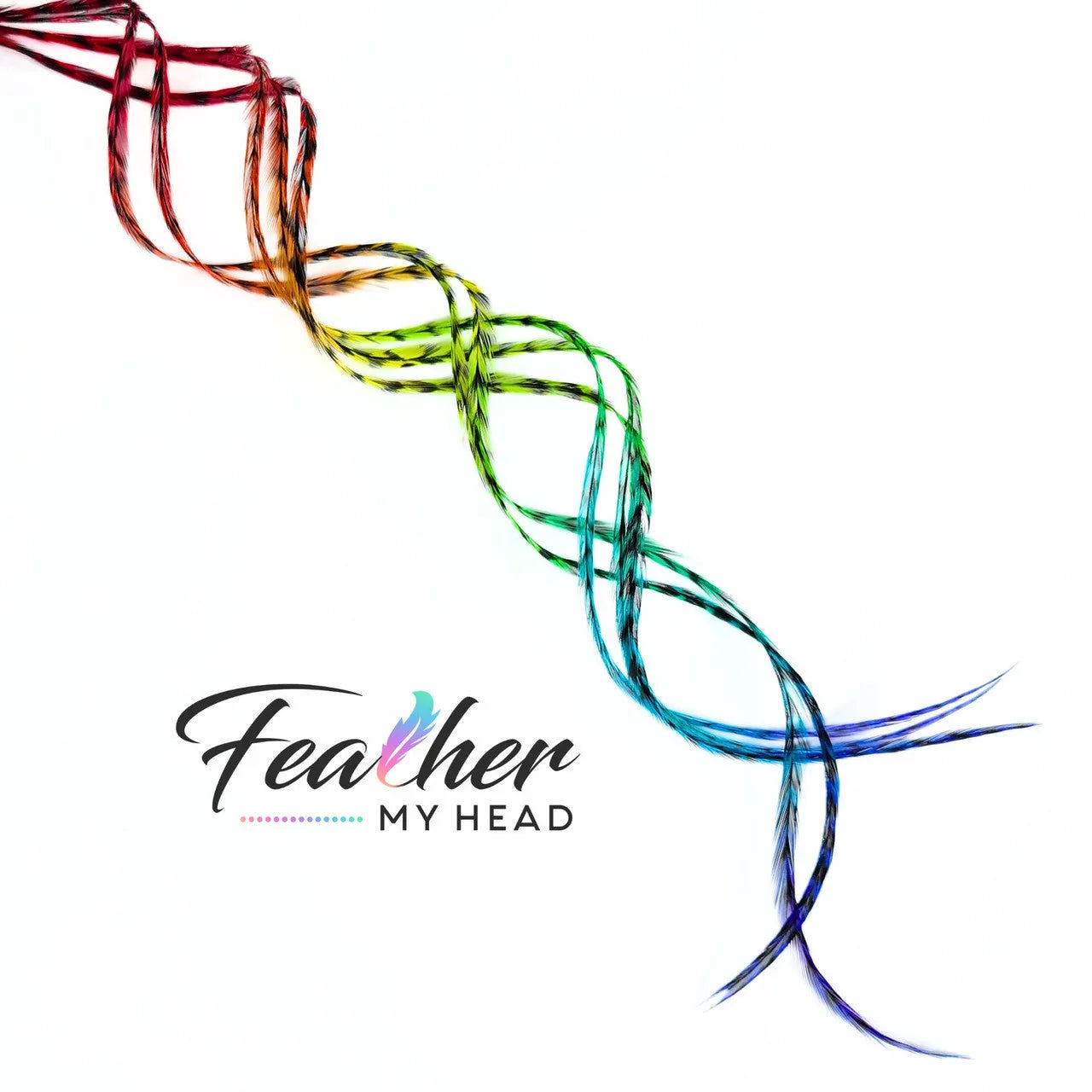 Hair Feather Extensions in rainbow colors of red, orange, yellow, green, blue, and purple. Short and Long Hair Feathers available. Hair Feathers by Feather My Head