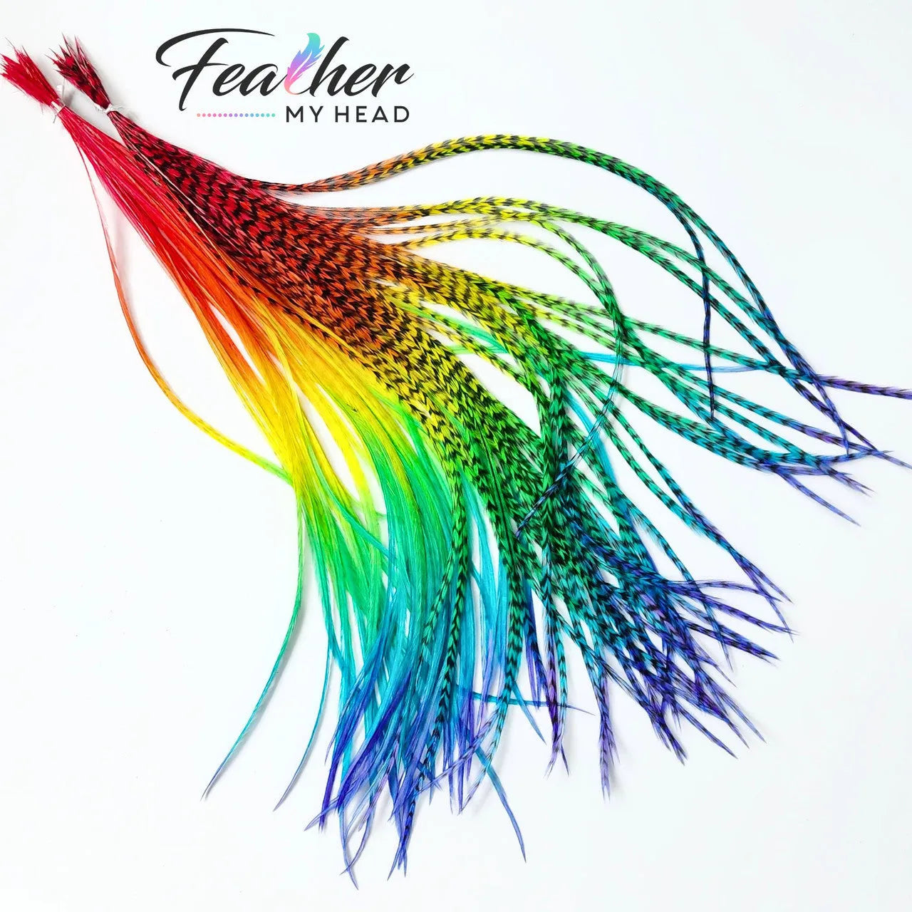 Hair Feather Extensions in rainbow colors of red, orange, yellow, green, blue, and purple. Short and Long Hair Feathers available. Hair Feathers by Feather My Head