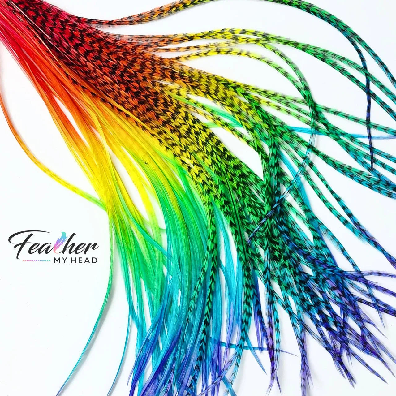 Hair Feather Extensions in rainbow colors of red, orange, yellow, green, blue, and purple. Short and Long Hair Feathers available. Hair Feathers by Feather My Head