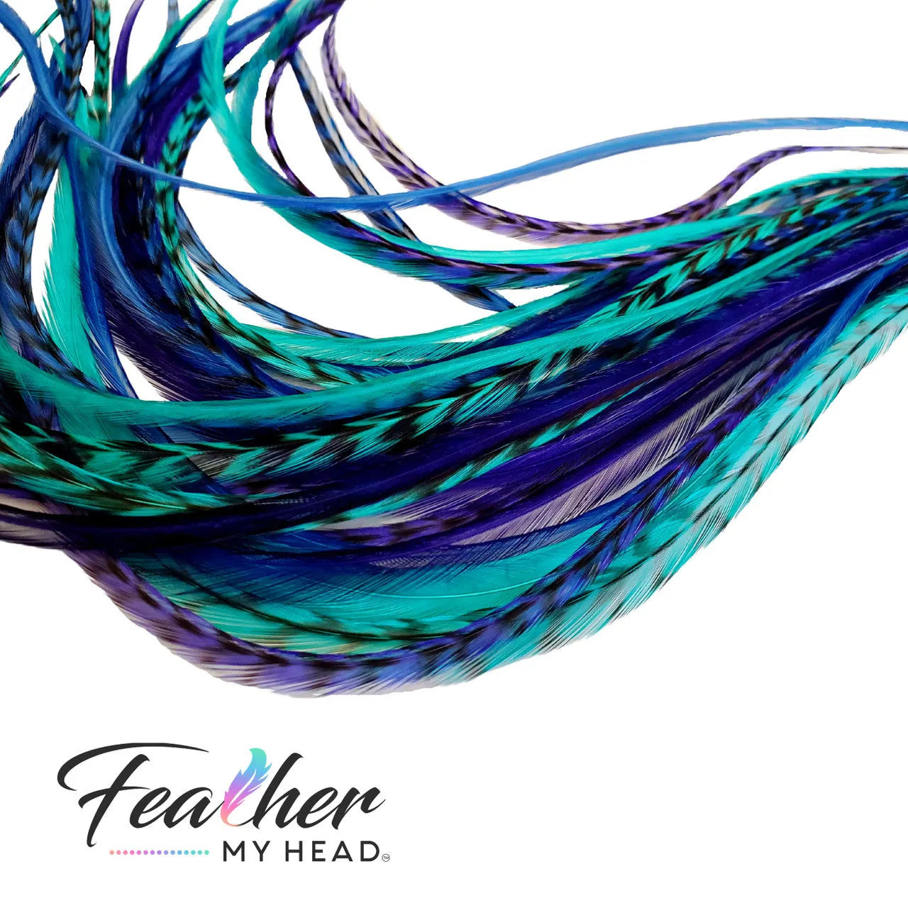 Feather My Head Hair Feathers in colors of purple and Aqua