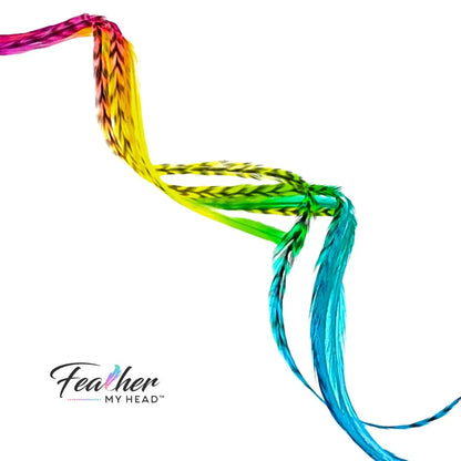 Hair Feathers Extension Kit With Very Long Multi Color Rainbow Feathers - Butterfly Kisses Set