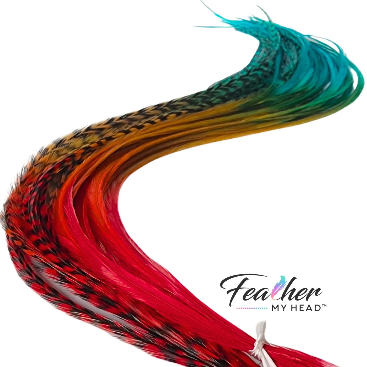 Durango Rainbow Tie-Dye Hair Feather