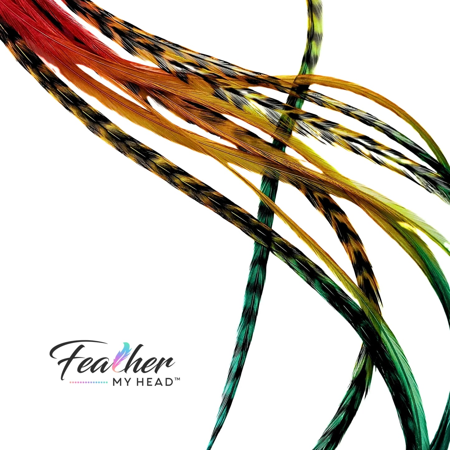 Durango Rainbow Tie-Dye Hair Feather