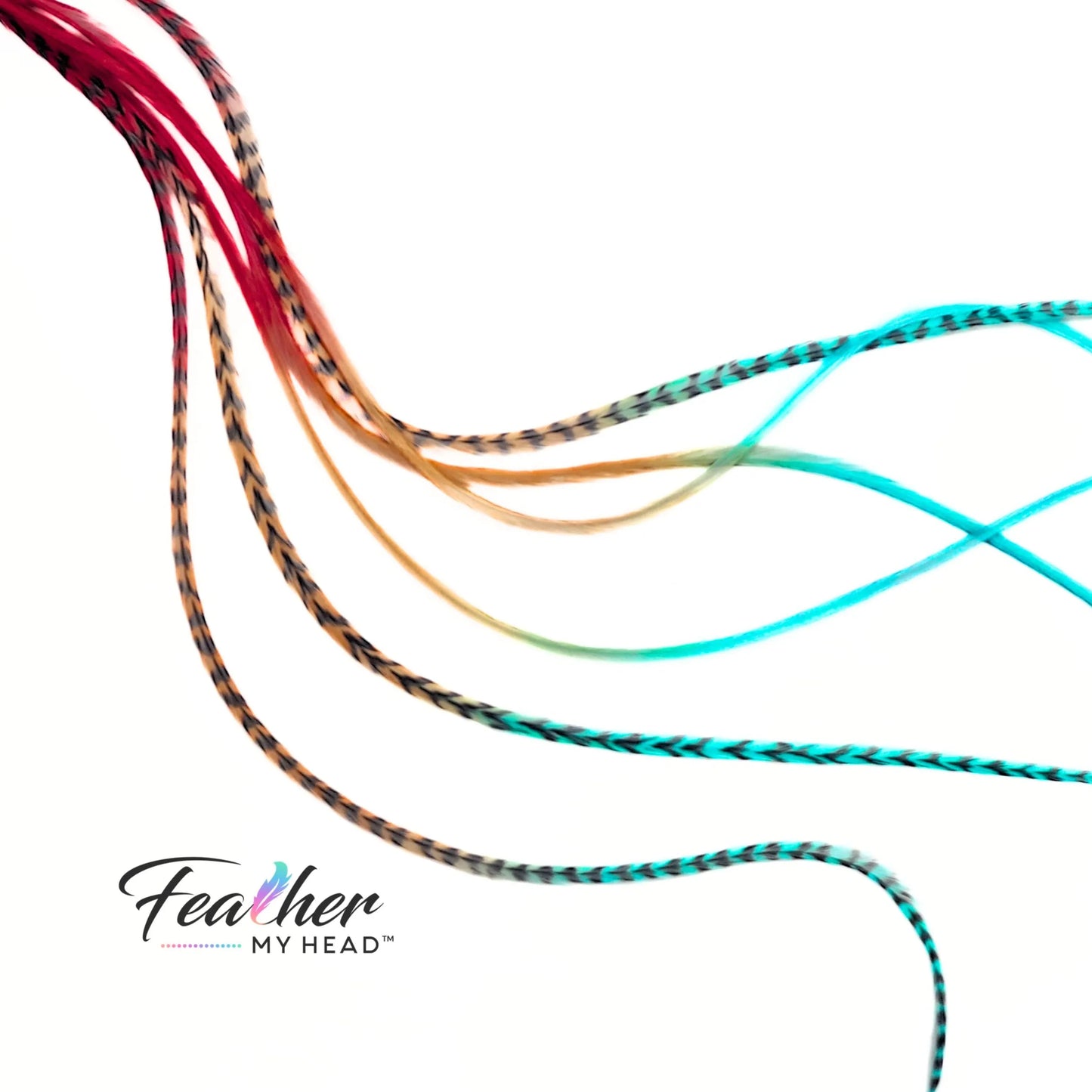 Durango Rainbow Tie-Dye Hair Feather