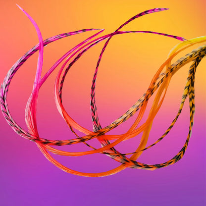 Safari Sunrise Rainbow Tie-Dyed Hair Feather