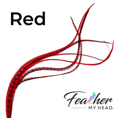 Red Hair Feather