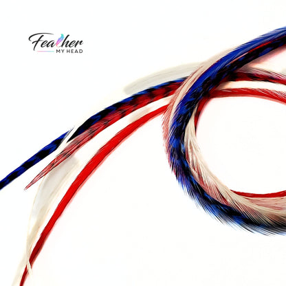 Close up of red white and blue hand dyed rooster feathers