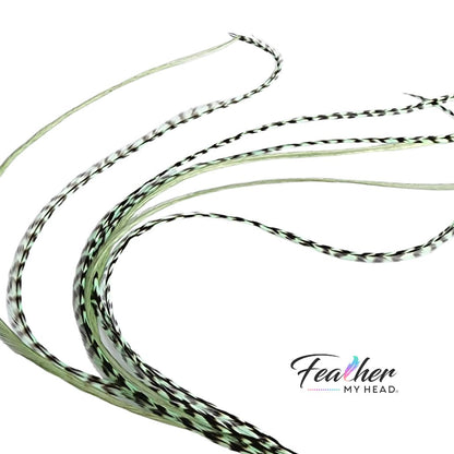 Long sage green feather hair extensions with thin striped feathers on white background