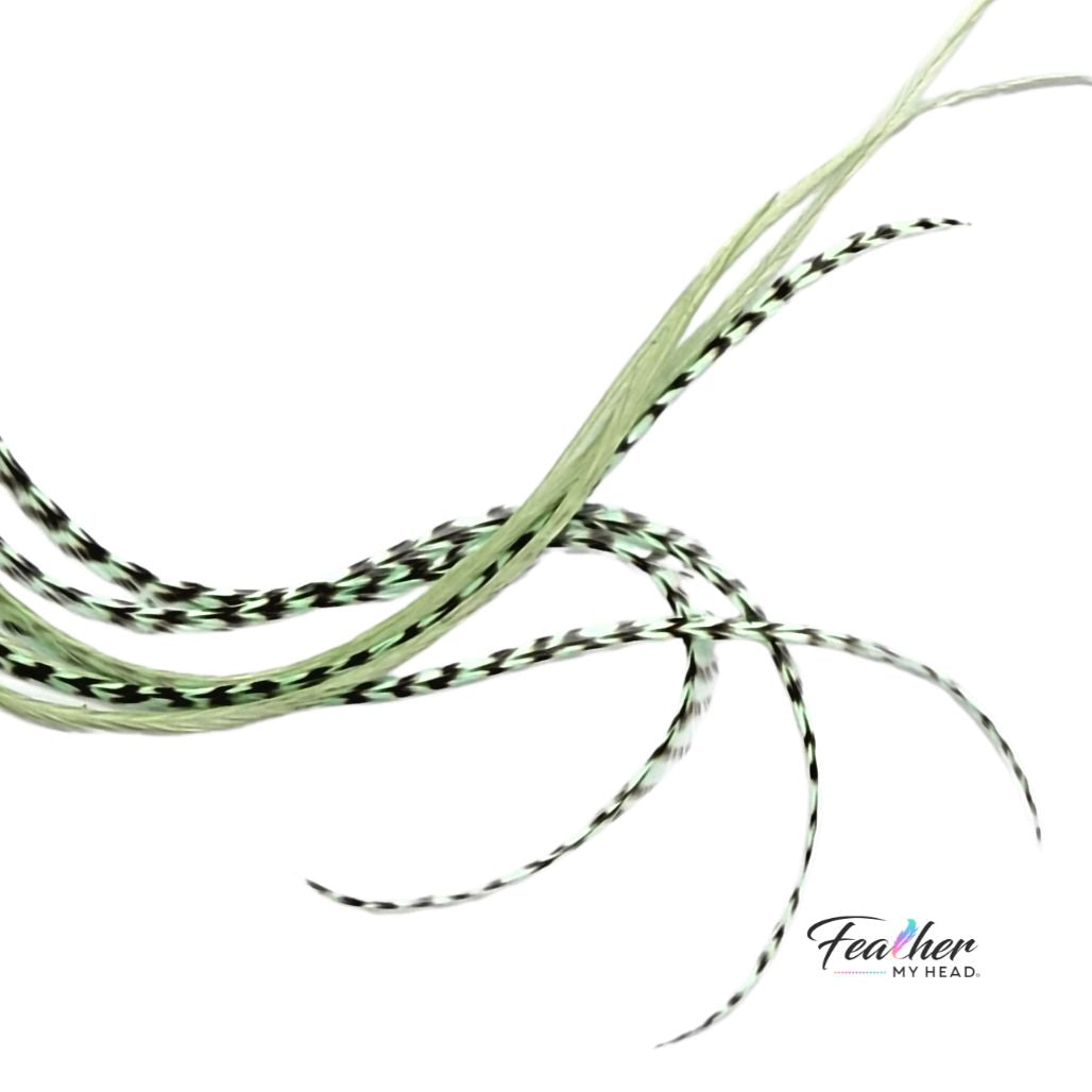 Long sage green feather hair extensions with soft striped and solid feather mix