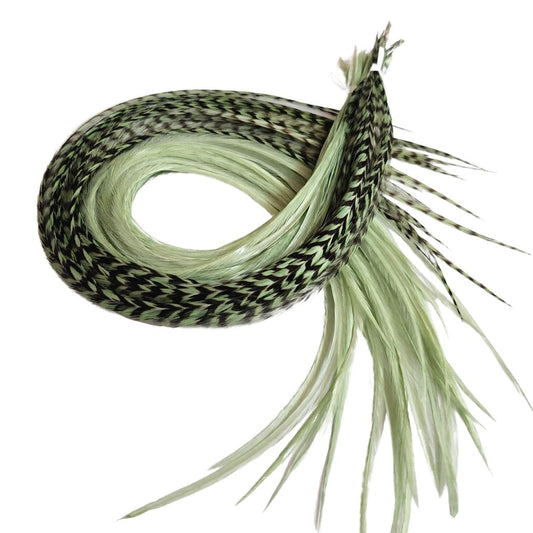 Sage green feather hair extensions in a coiled bundle with long thin striped and solid feathers