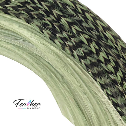 Close up of sage green feather hair extensions showing striped and solid feather detail
