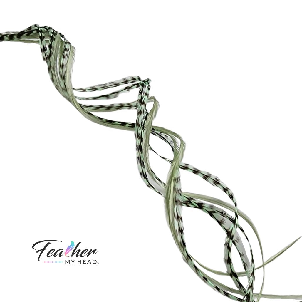 Heat safe curled sage green feather hair extensions with long thin grizzly striped feathers