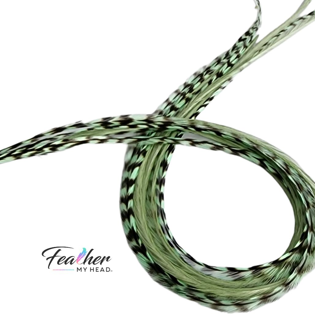 Sage green feather hair extensions in a loop with black grizzly striped feather detail