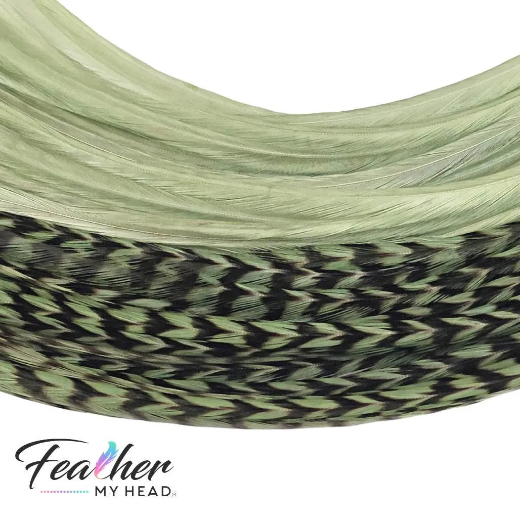Sage Green hair feather extension kit