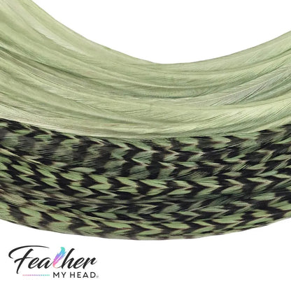 Sage Green hair feather extension kit