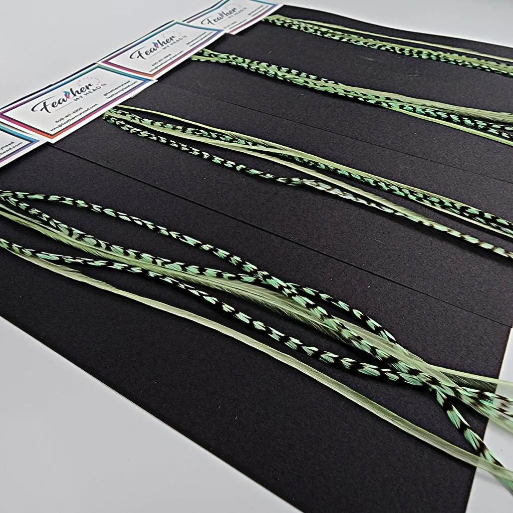 Sage Green hair feather extension kit