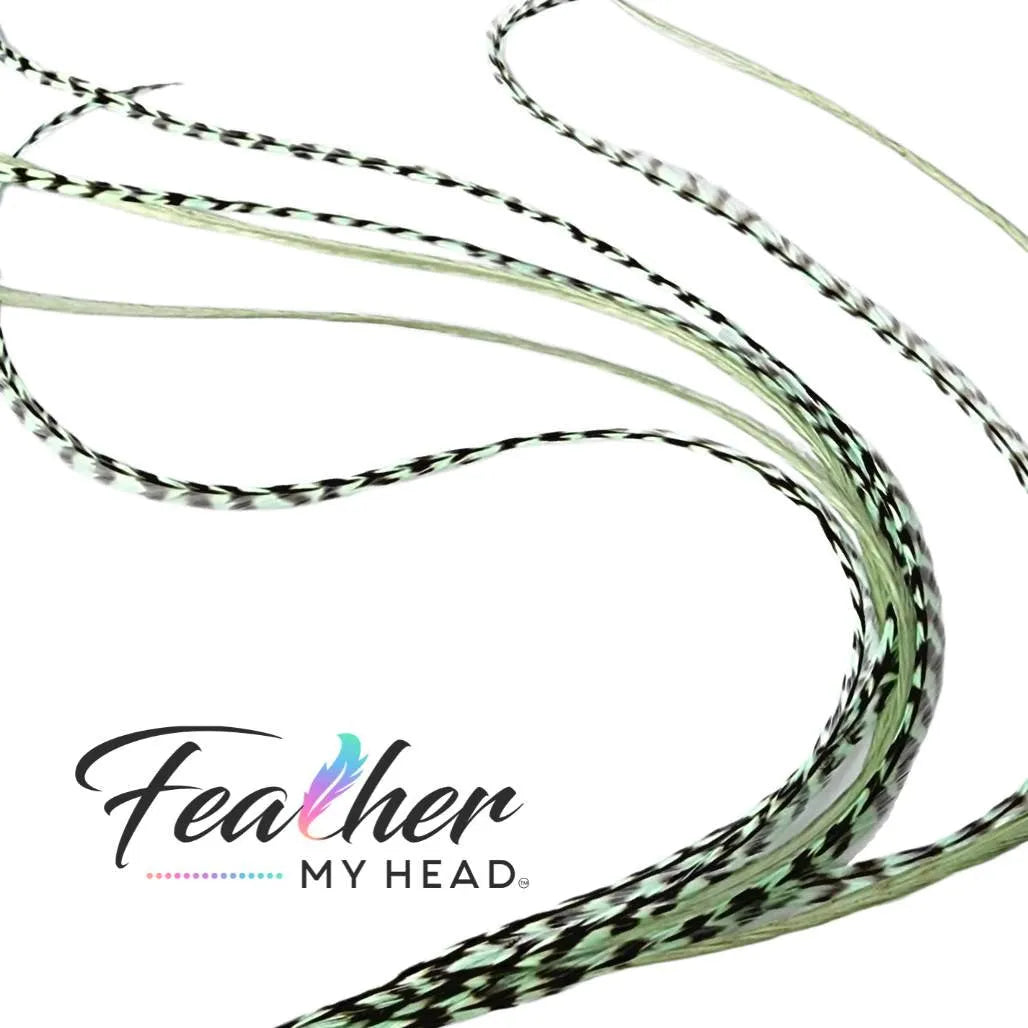 Sage Green hair feather extension kit