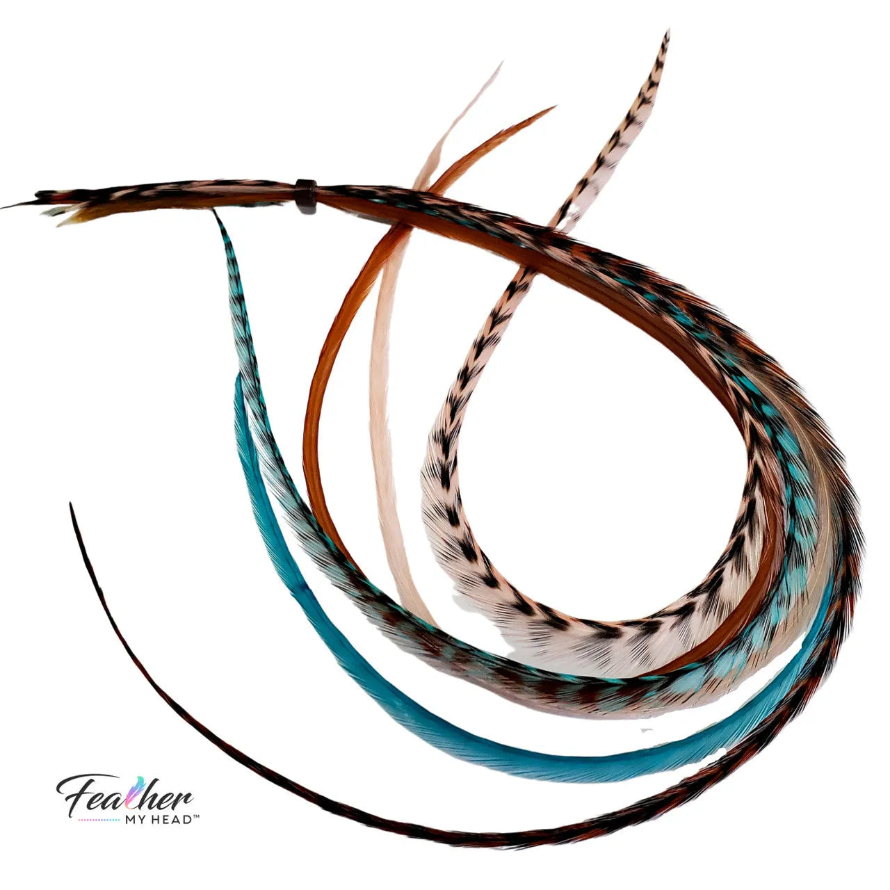 Santa Fe feather hair extensions arranged in a turquoise, coral, and brown feather mix.