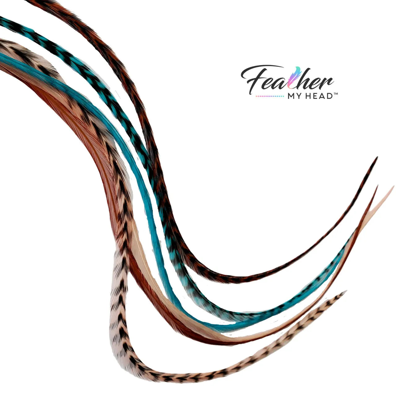 Santa Fe feather hair extensions showing natural speckled rooster feathers with turquoise and coral tones.