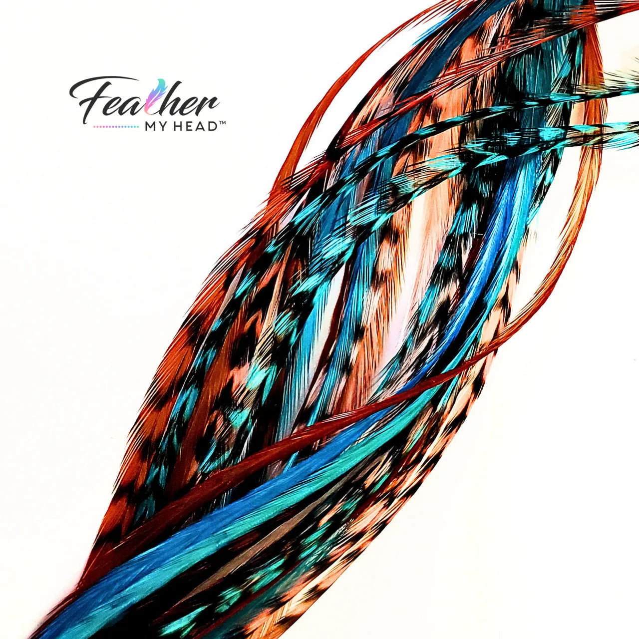 Close up of Santa Fe rooster feather hair extensions showing turquoise and coral feather patterns.