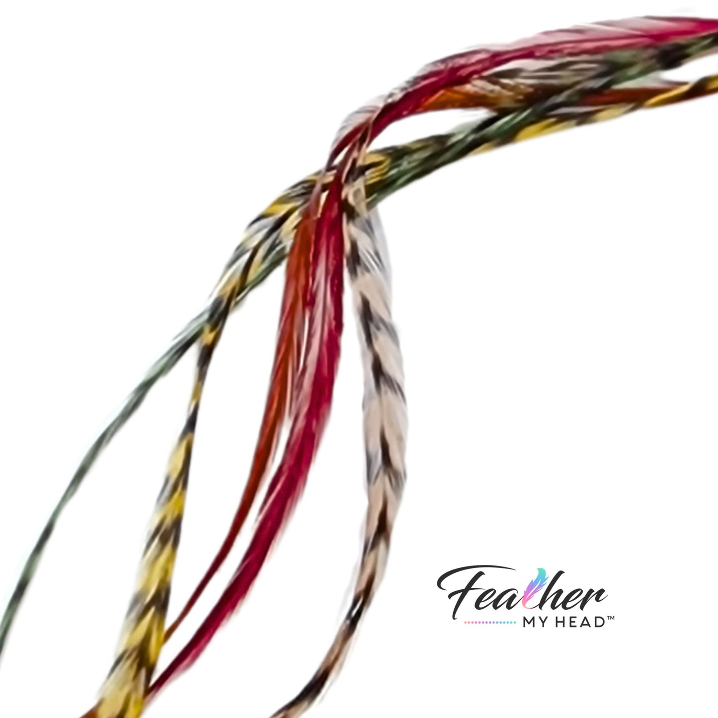 Sherwood Forest Hair Feather - Bundle