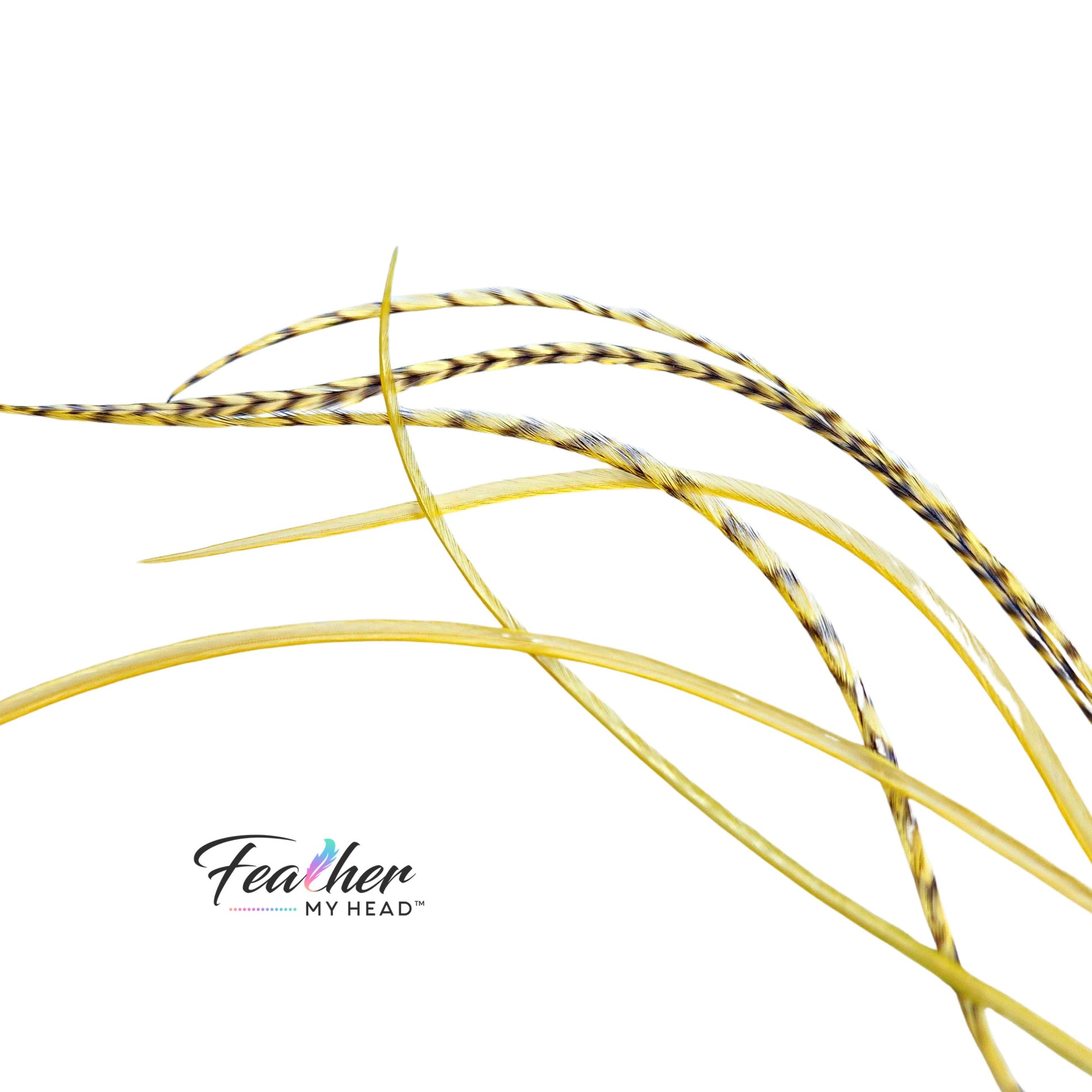Pastel yellow hair feathers soft buttercream tone feather extensions