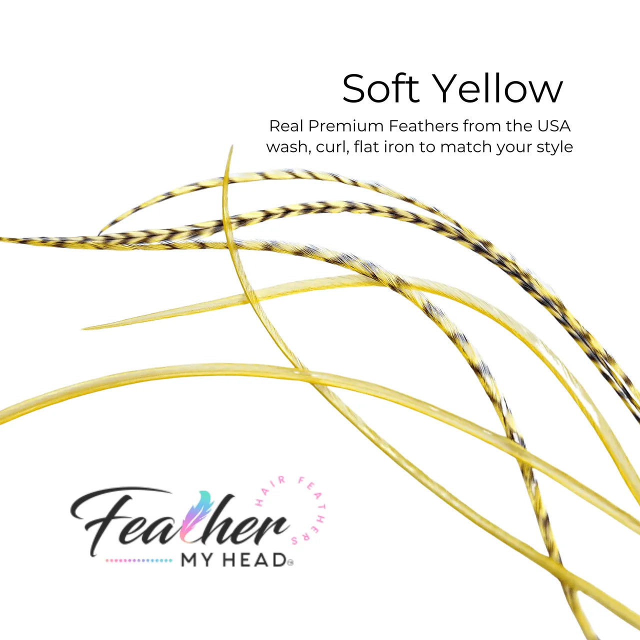 Soft Pastel Yellow feather hair extension kit by Feather My Head feather hair extensions in long lengths you will love.