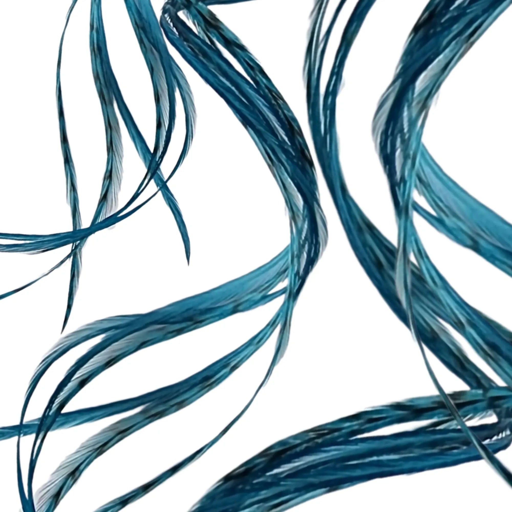 Teal Blue Green Hair Feather