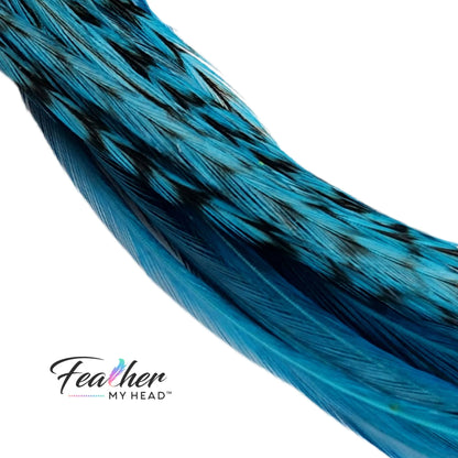 Teal Blue Green Hair Feather