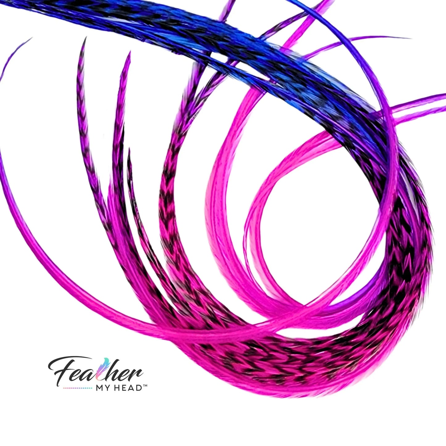 Electric Berry Fade Rainbow Hair Feather