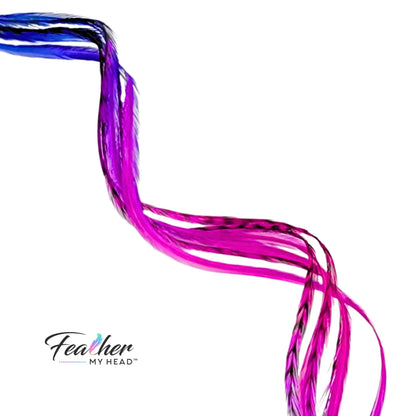 Electric Berry Fade Rainbow Hair Feather