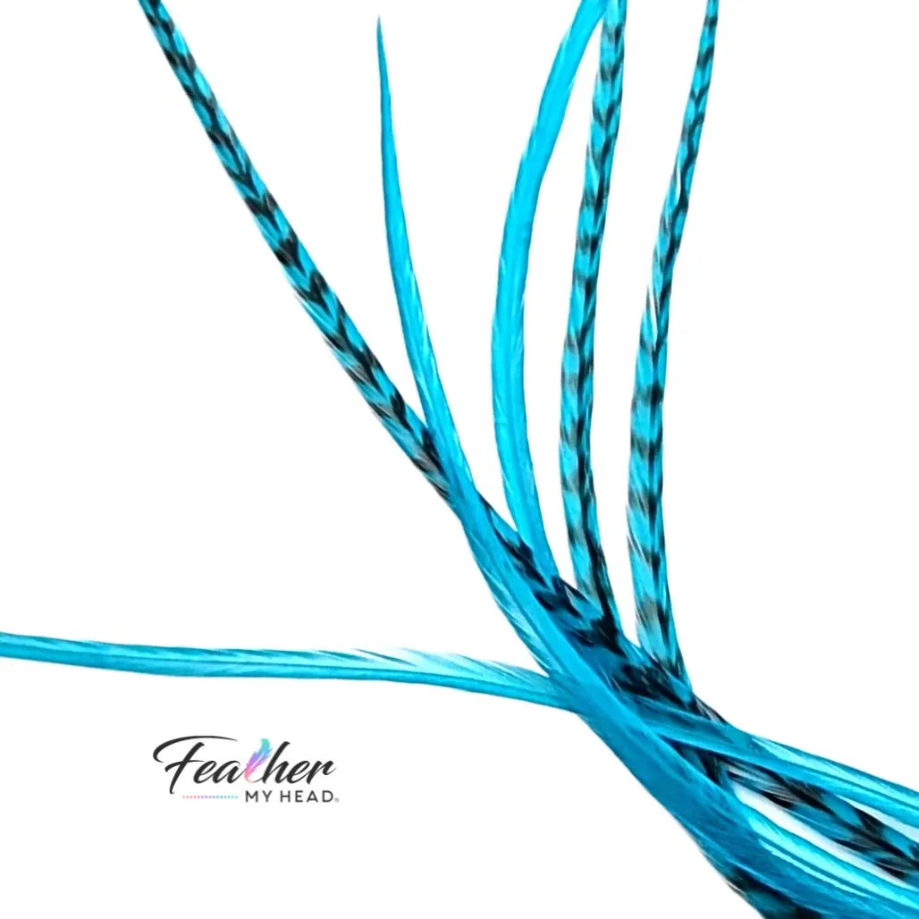 Turquoise Blue Hair Feather